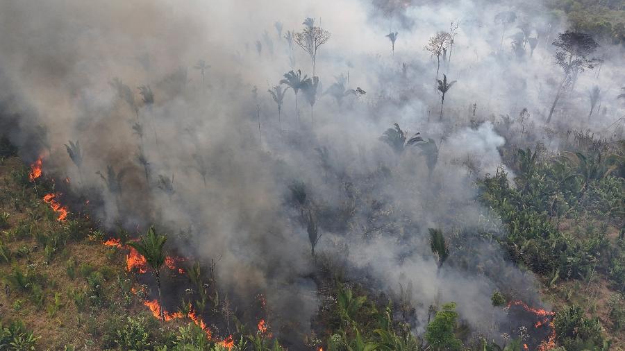 Amazônia registra aumento histórico de temperatura