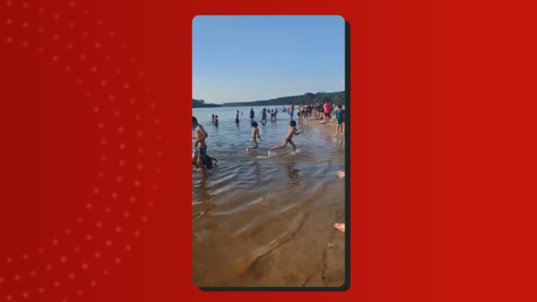 Ataque de piranhas fere banhistas e bebê em balneário no AM