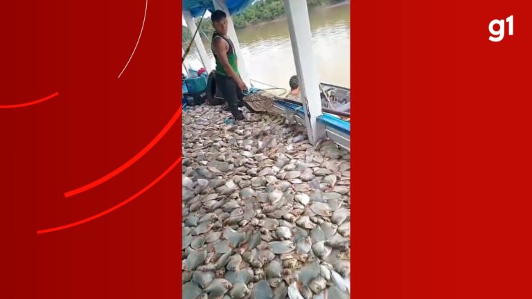 Barco vira piscina de peixes após pesca no Amazonas