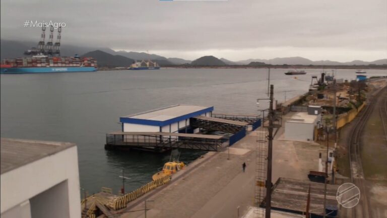 A jornada da soja de Mato Grosso até o Porto de Santos