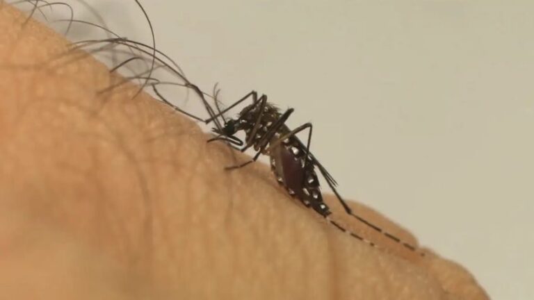 Governo regulamenta indenização e pensão a vítimas de zika
