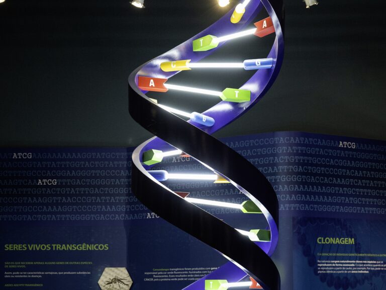 Compreendendo o DNA e sua importância