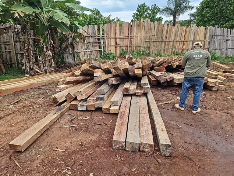 Multas de R$ 7,3 milhões por crimes ambientais no Amazonas