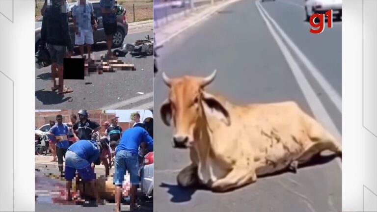 Crimes relacionados ao saque de carne após acidente em Teresina