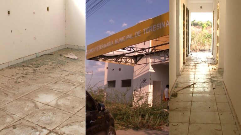 Clínica veterinária municipal de Teresina permanece abandonada