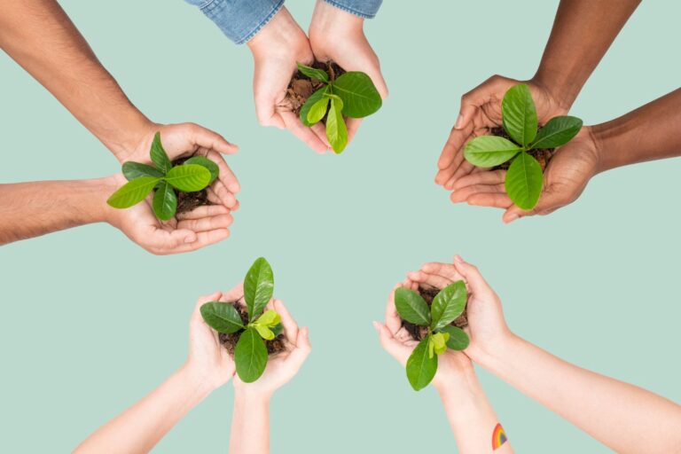Questões de ecologia e desmatamento no Enem 2025