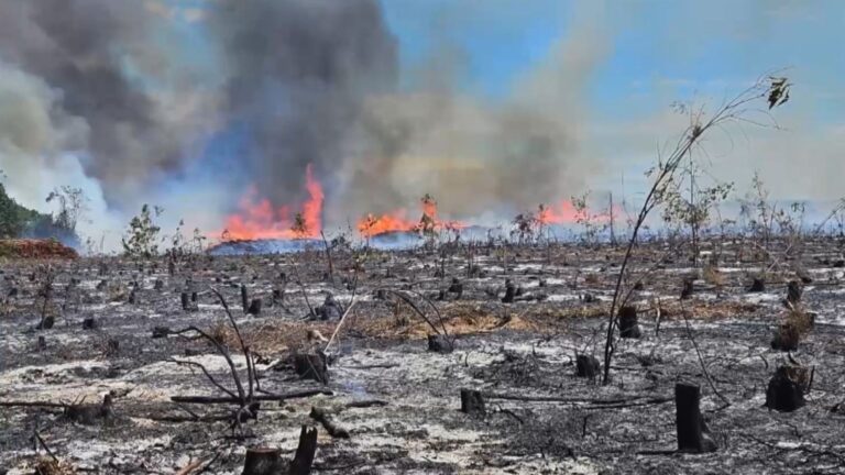 Suspeito de incêndios criminosos no ES e na BA é preso após investigação