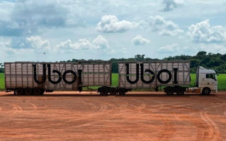 Uber do boi: veja a aposta da JBS para transporte de gado