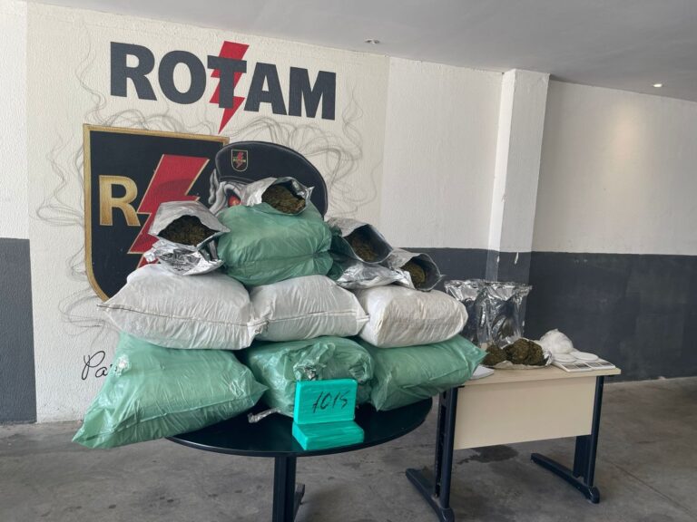 Apreensão de quase 80 quilos de maconha em Maceió