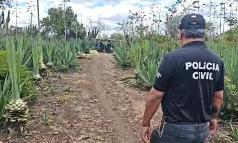 Suspeito de abusar da própria filha é preso em Araci