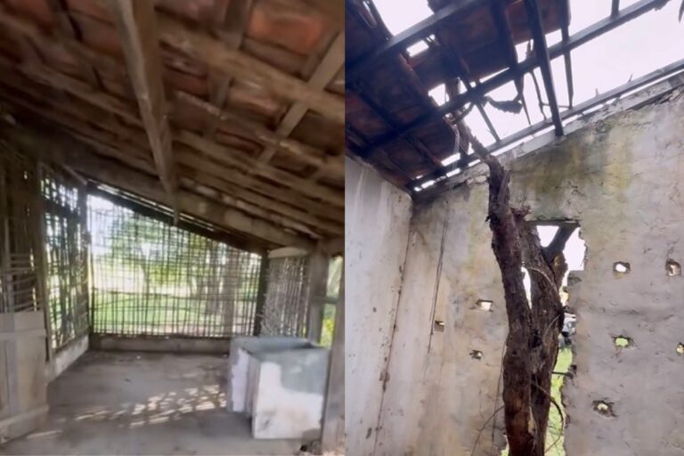 Tapera da Juma ainda existe? Veja vídeo sobre estado atual da casa no Pantanal