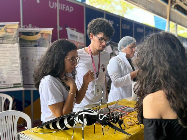 Dengue afeta mais a população negra e periférica no Amapá