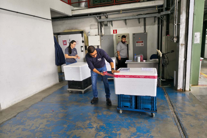 Distribuição da vacina contra o Vírus Sincicial Respiratório começa no Paraná