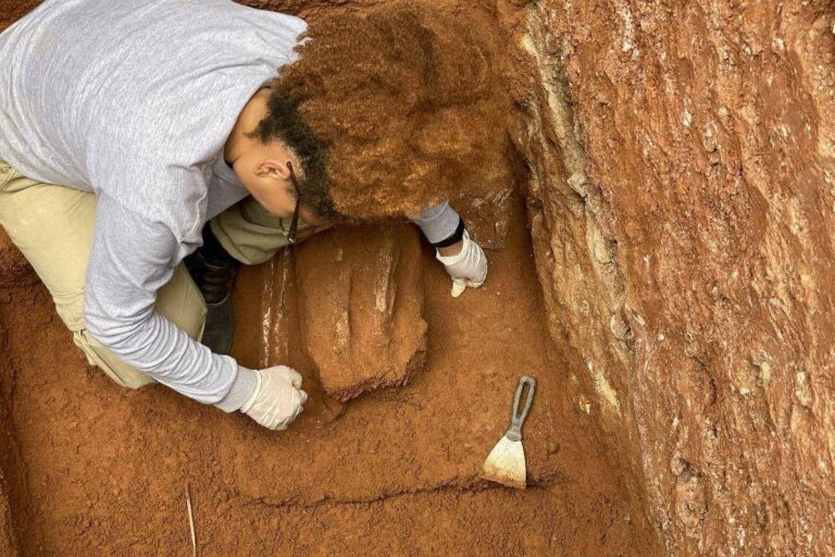 Descoberta arqueológica revela tragédia escravocrata em bairro japonês de SP