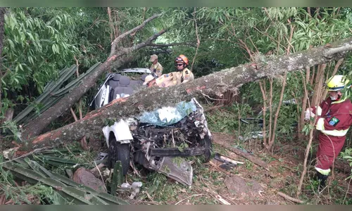 Motorista sem celular sofre acidente e fica 12 horas preso a ferragens em ribanceira