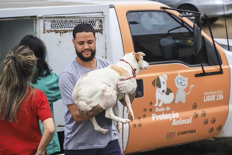 Prefeitura de Curitiba abre 3.830 vagas para castração de cães e gatos