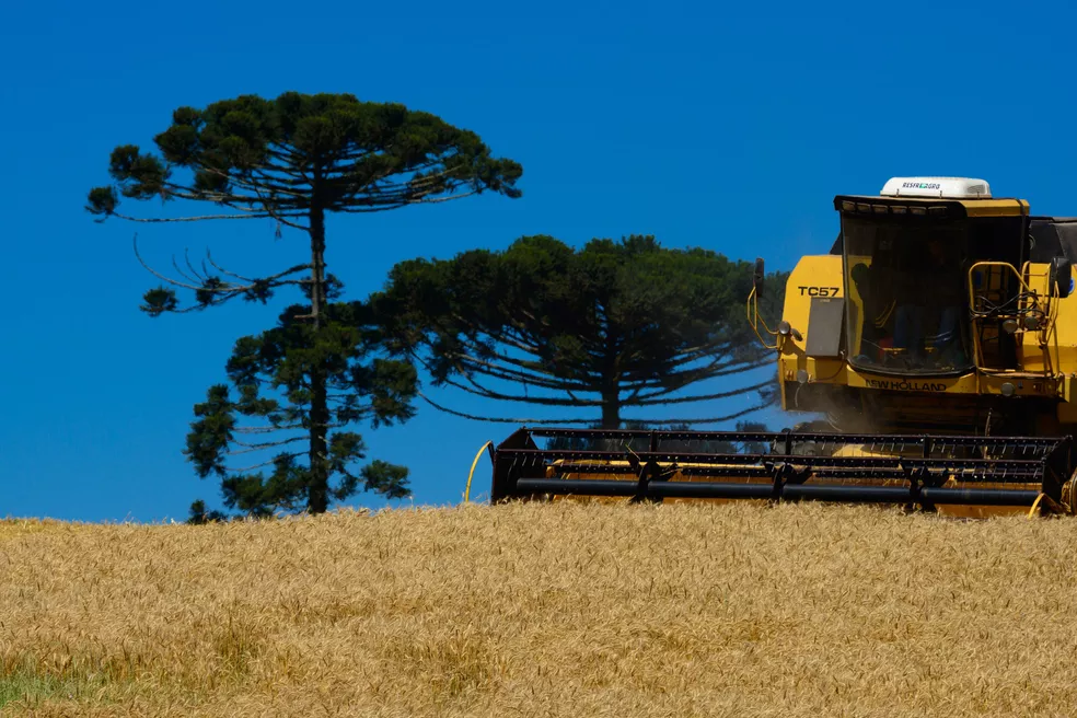 Paraná bate recorde e exporta US$ 14,2 bilhões em alimentos para 176 países