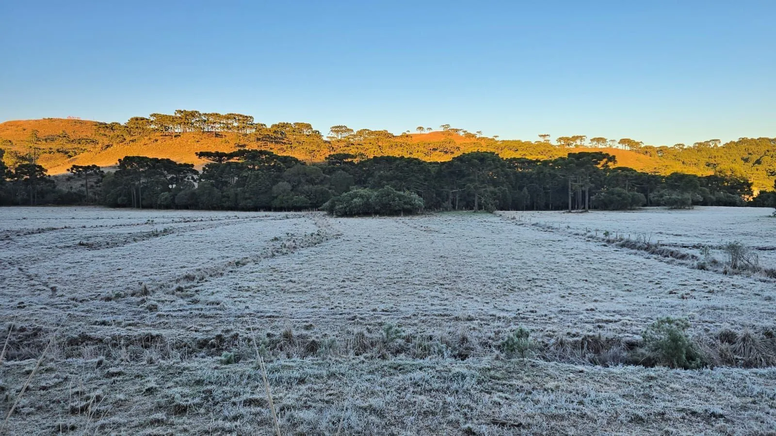 Onda de Frio Extrema Cobre o Sul do Brasil com Geadas e Temperaturas Abaixo de Zero