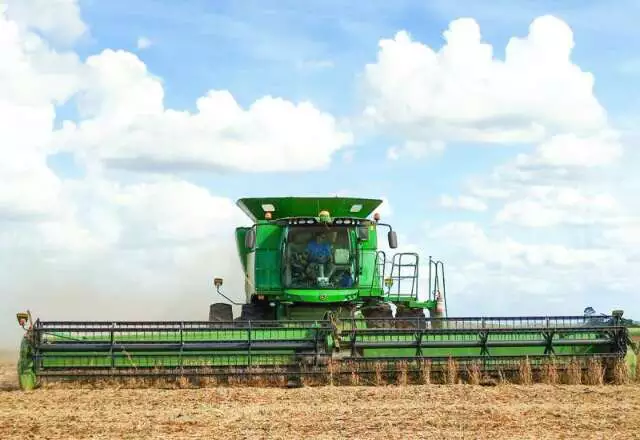 Exportações de Mato Grosso do Sul Disparam em Julho Impulsionadas por Soja e Milho