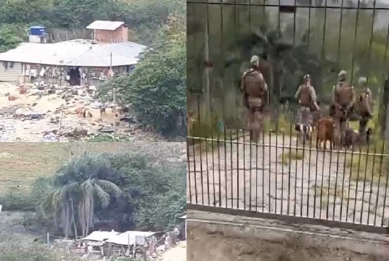 Horror em Biguaçu: Sítio é Descoberto com Cães Mortos em Freezer e dezenas em Estado de Abandono
