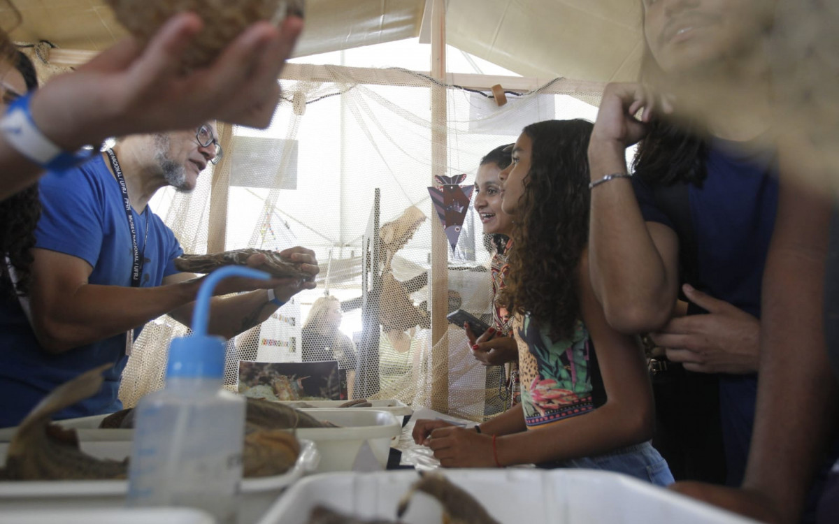 Reconstrução do Museu Nacional Celebrada com Festival Vibrante na Quinta da Boa Vista