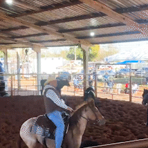 Ranch Sorting: Campeonato em Campo Grande Atrai Competidores do Brasil e dos EUA
