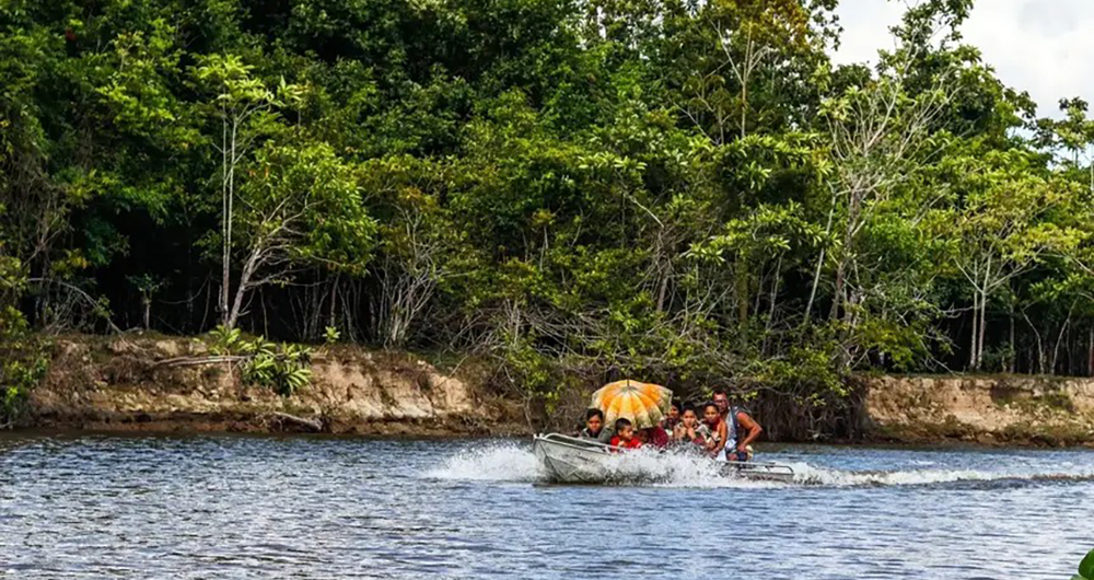 Amapá, com 97% da Floresta Preservada, Mira Investimentos em Bioeconomia na COP30
