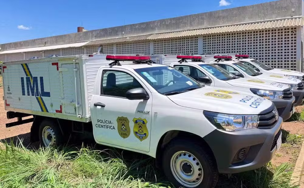 Tragédia na TO-239: Jovem Motociclista Morre ao Colidir com Vaca Solta