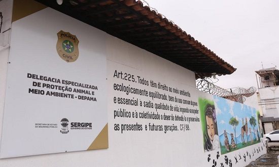 Aracaju: Mulher Presa Novamente por Usar Cães em Esquema de Extorsão e Maus-Tratos