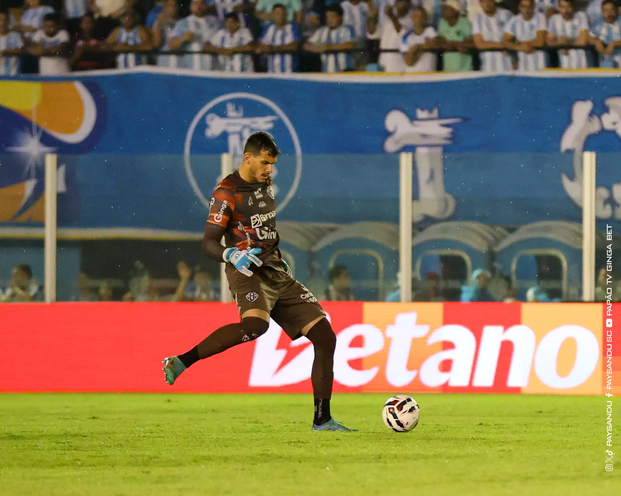 Em revés doloroso, goleiro do Paysandu assume falha em pênalti e clama por apoio: ‘Não vamos cair!’