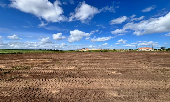 IFS Inicia Terraplanagem para Novo Campus em Japaratuba: Educação Profissional e Tecnológica Avança no Leste Sergipano