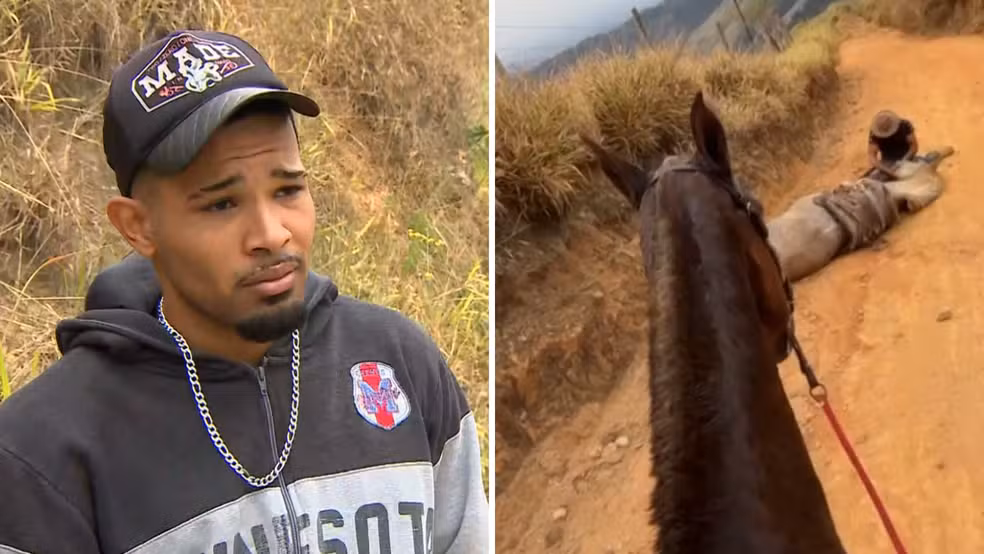Crueldade em SP: Cavalo é Mutilado a Facão Durante Cavalgada; Tutor Confessa Crime
