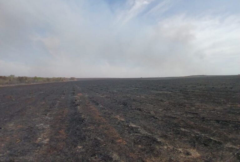 Incêndio em fazenda de MS gera multa de quase R$ 5 milhões