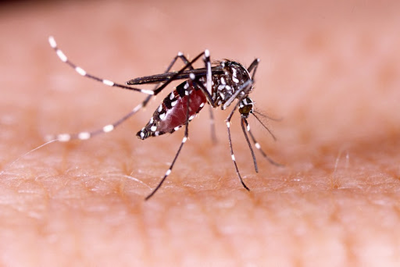 Zika: Famílias de crianças com sequelas receberão indenização e pensão vitalícia a partir de setembro
