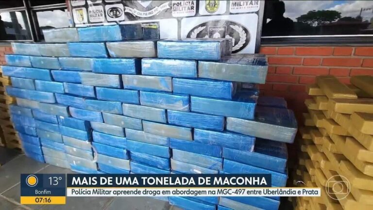Estufa de maconha com 160 pés é descoberta em Uberlândia