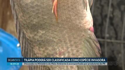 Tilápia pode ser classificada como espécie invasora no Brasil