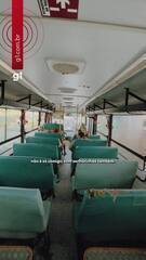 Tarifa zero no transporte público: desafios e histórias nas cidades da região de Campinas