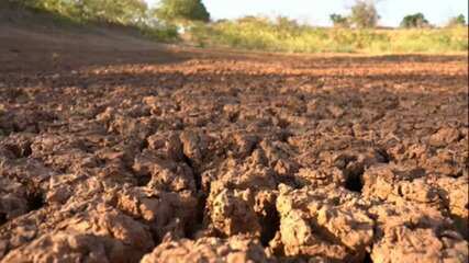 Seca extrema atinge mais de 100 cidades do Piauí