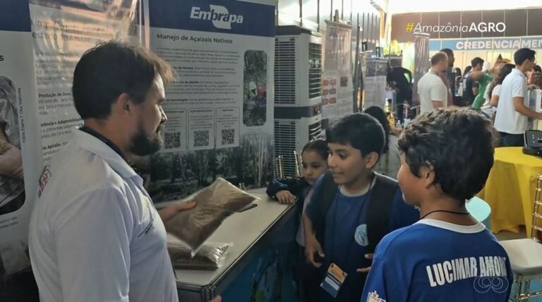 Estudo utiliza restos de pescado para criar ração alternativa no Amapá
