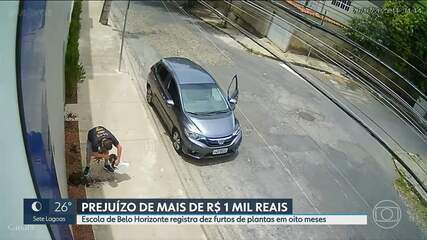 Suspeito de furtar jardim de escola em BH se apresenta à polícia