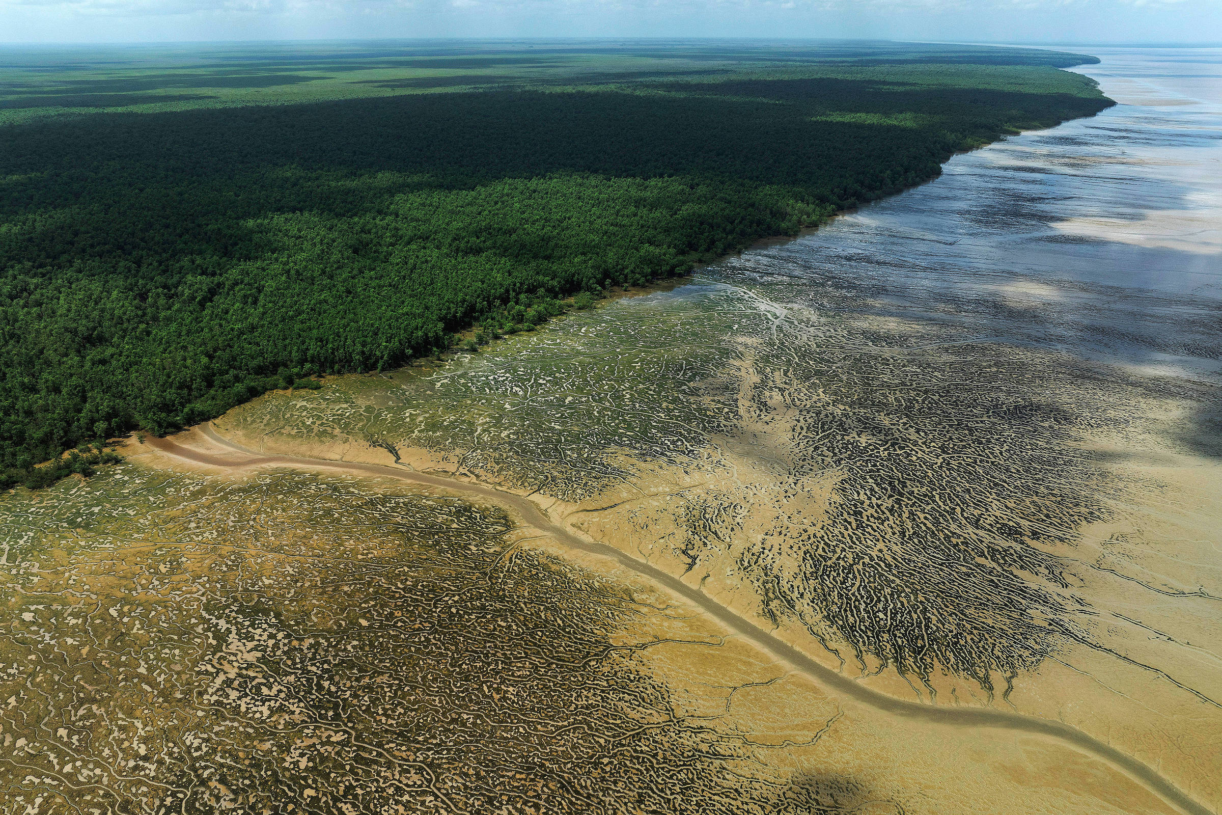 Perfuração na Foz do Amazonas: Licença da Petrobras é alvo de ação judicial de entidades