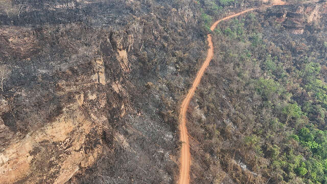 Incêndio Devasta Parque do Taquari: Chamas Persistem Apesar da Chuva Escassa