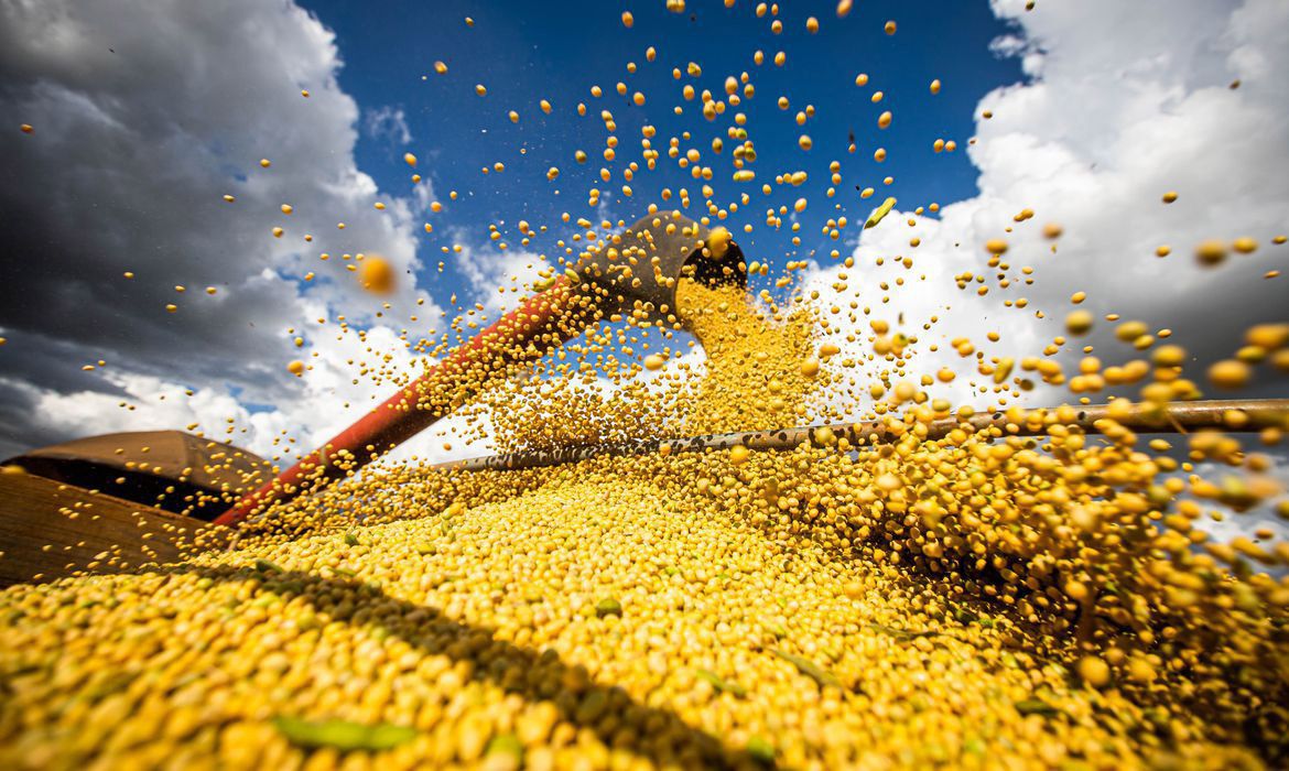 Safra Agrícola Brasileira de 2025 Promete Recordes Históricos, Impulsionada por Soja e Milho