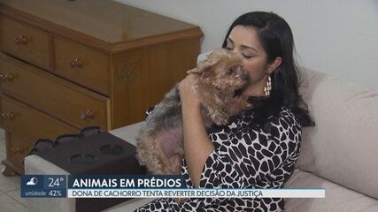 Santos veta proibição de pets em condomínios e multa pode chegar a R$ 10 mil