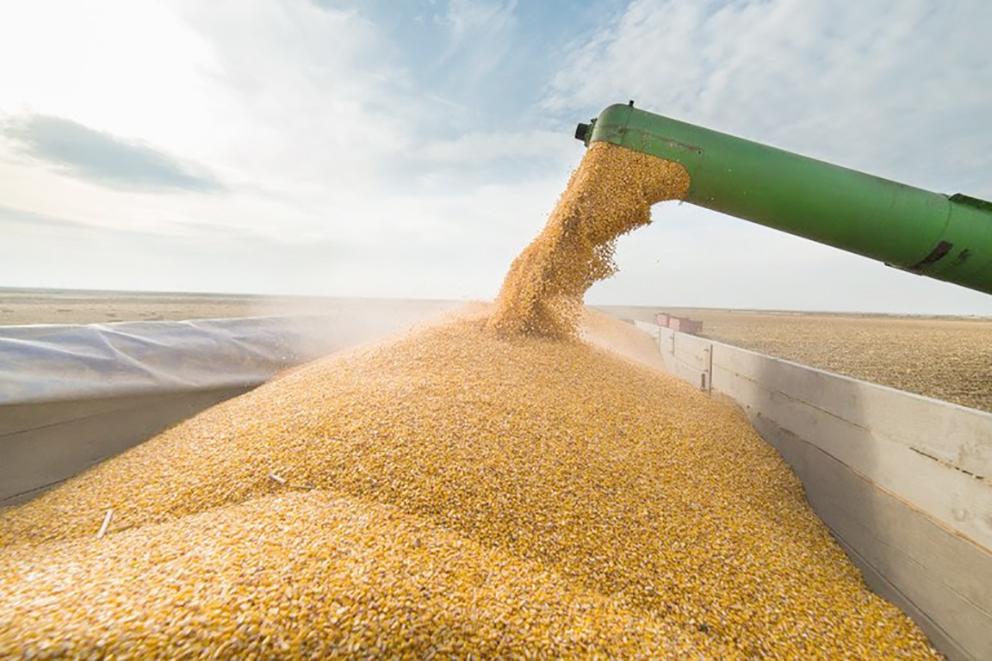Amapá Lidera Crescimento Agrícola e Lula Indica Novo Ministro para o STF: Um Panorama do Cenário Nacional
