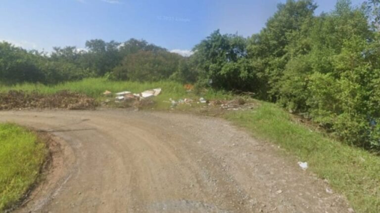 Casal de jovens desaparecido é encontrado morto em área de mangue em SC