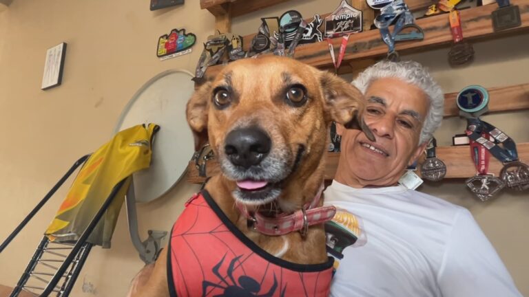 'Autleta': cachorra vira dupla de corredor de 61 anos em provas no interior de SP