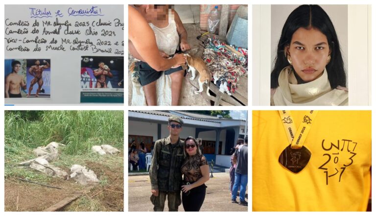 Caminhão tomba e animais morrem no Acre; destaques da semana