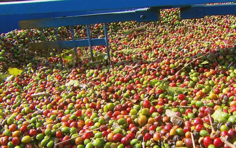 Preço do café sobe e dobra poder de compra em SP