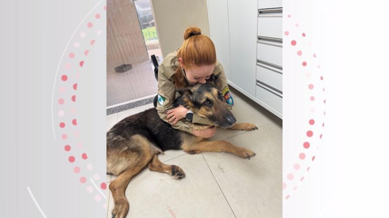 PM se emociona em despedida de cão policial que passou por eutanásia